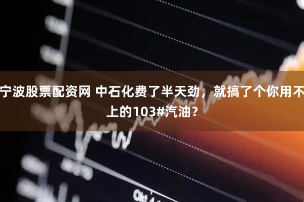 宁波股票配资网 中石化费了半天劲，就搞了个你用不上的103#汽油？